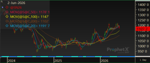 62.soy Soybean